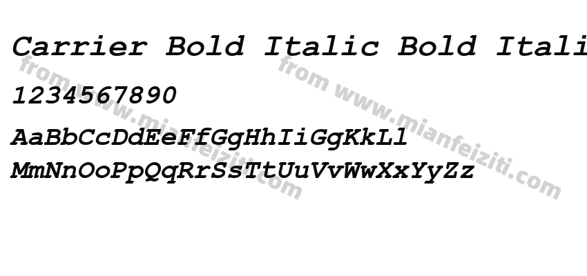 Carrier Bold Italic Bold Italic预览图2