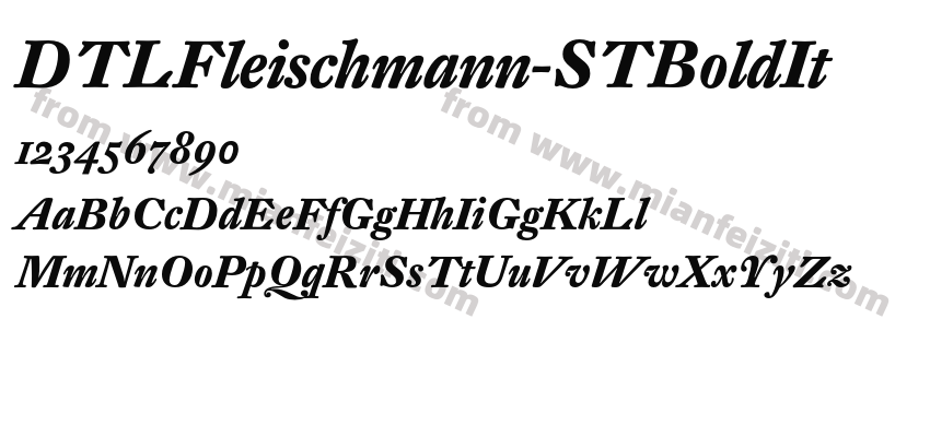 DTL Fleischmann ST Bold It预览图2