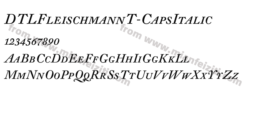 DTL FleischmannT Caps Italic预览图2