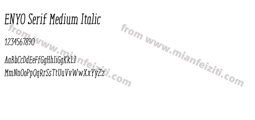ENYO Serif Medium Italic预览图2
