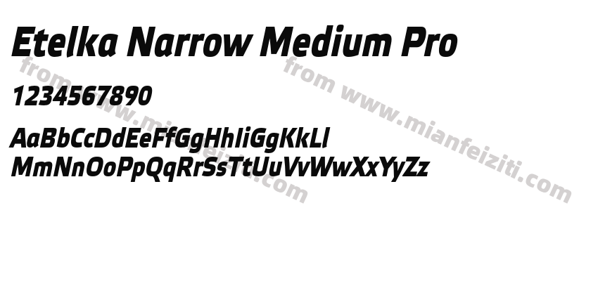 Etelka Narrow Medium Pro Bold Itali预览图2
