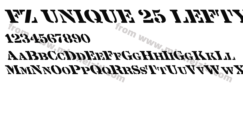 FZ UNIQUE 25 LEFTY预览图2