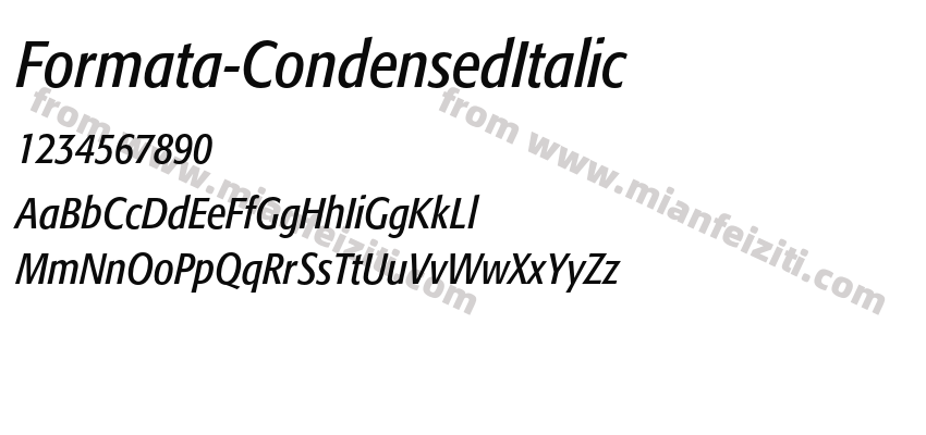 Formata Condensed Italic预览图2