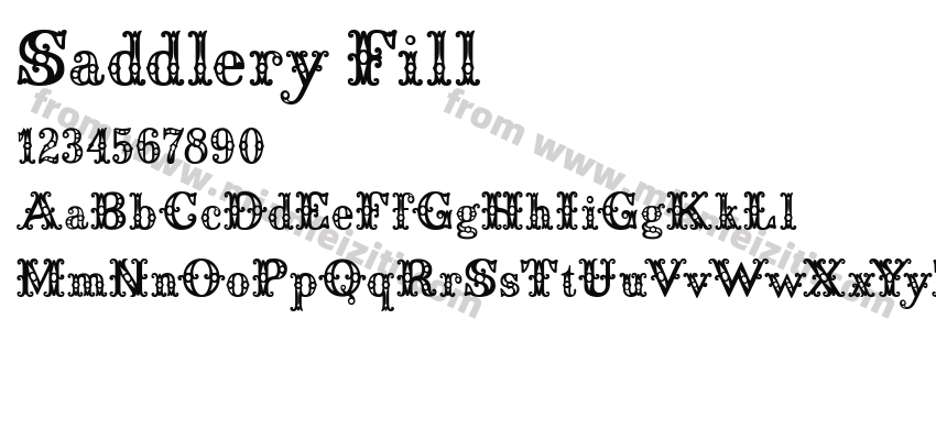 Saddlery Fill预览图2