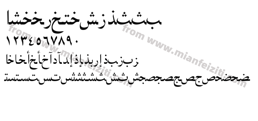 Arabic NaskhSSK预览图2