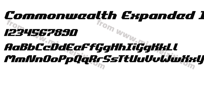 Commonwealth Expanded Italic预览图2