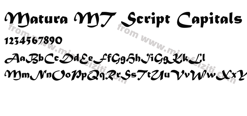 Matura MT Script Capitals字体预览