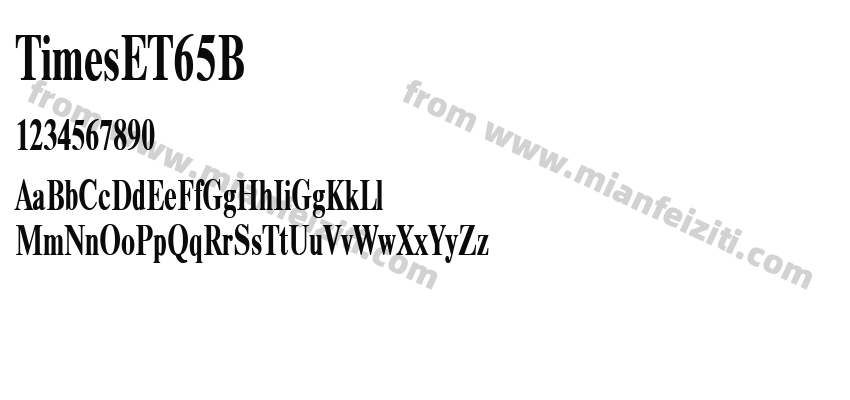 TimesET Bold预览图2