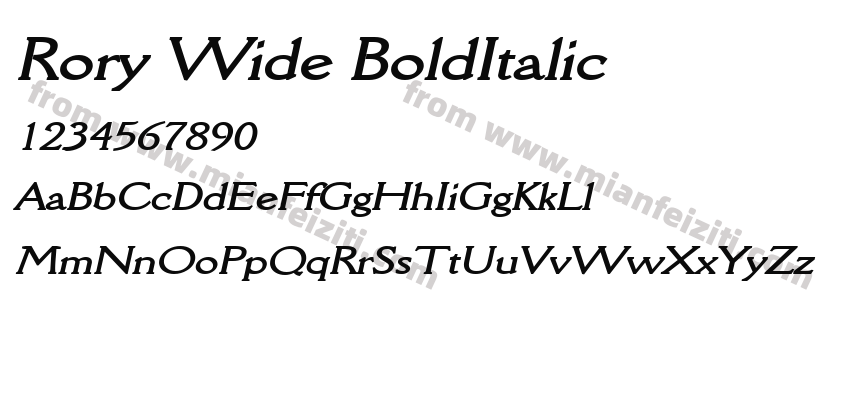 Rory Wide Bold Italic预览图2