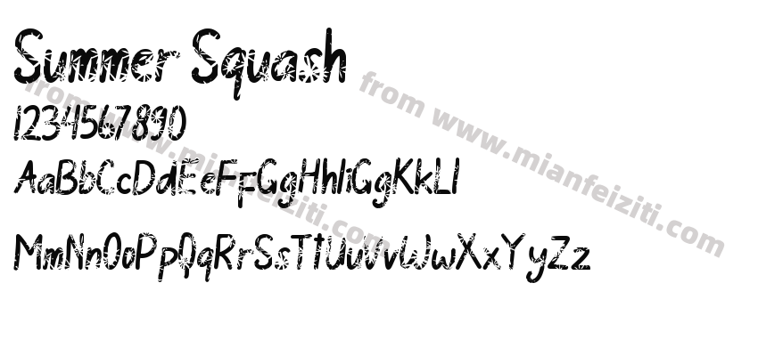 Summer Squash预览图2