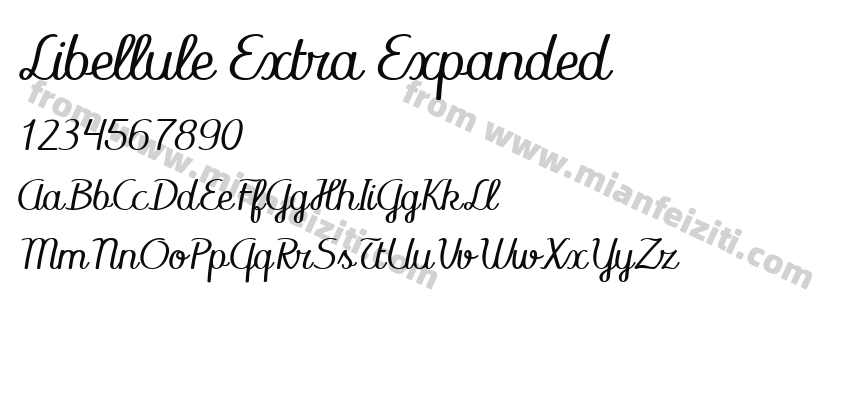 Libellule Extra Expanded预览图2