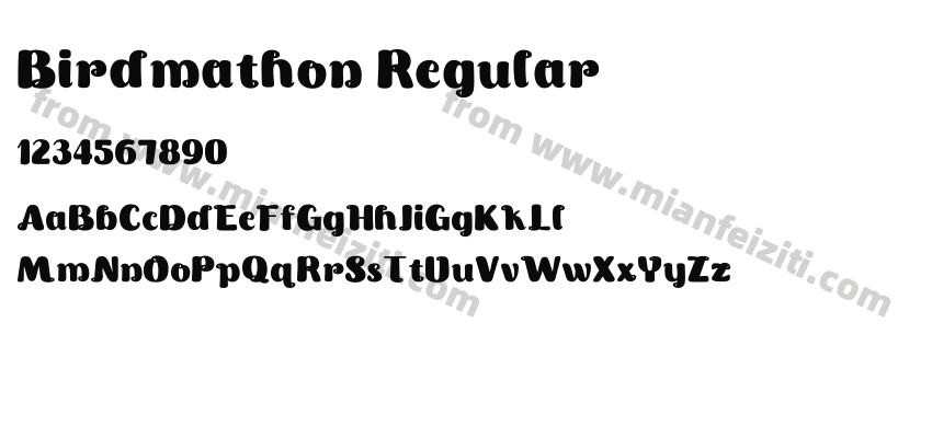 Birdmathon Regular预览图2