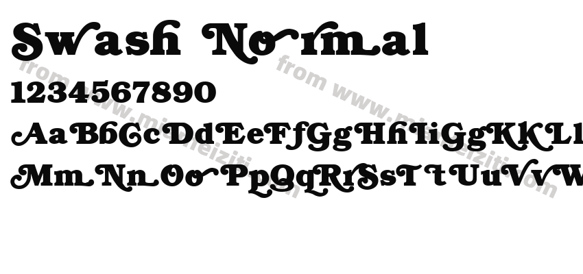 Swash Normal预览图2