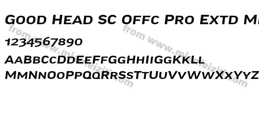 Good Head SC Offc Pro Extd Medium Italic字体预览