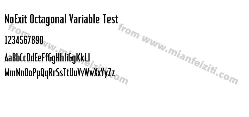 NoExit Octagonal Variable Test字体预览