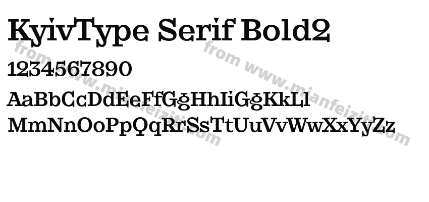 KyivType Serif Bold2字体预览