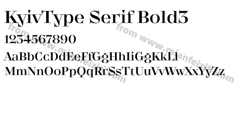 KyivType Serif Bold3字体预览