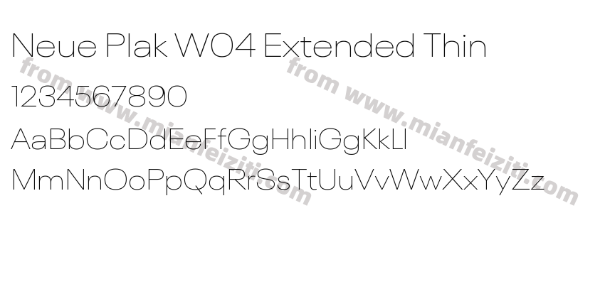 Neue Plak W04 Extended Thin字体预览