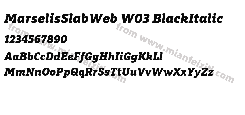 Marselis Slab Web W03 BlackItalic字体预览