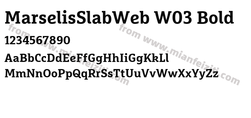 Marselis Slab Web W03 Bold字体预览