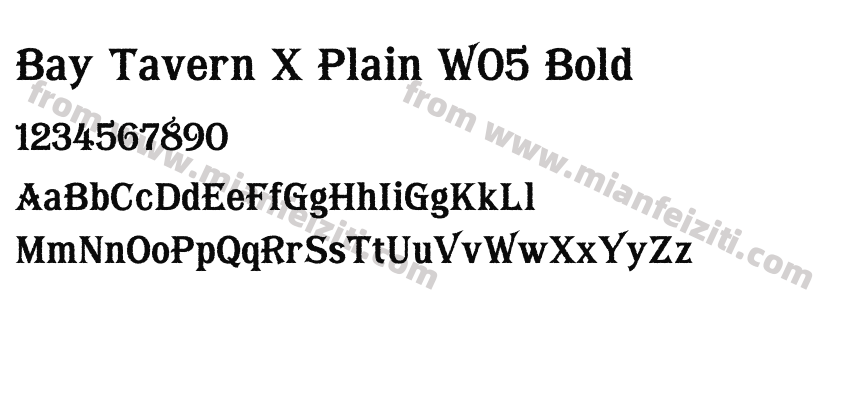Bay Tavern X Plain W05 Bold字体预览