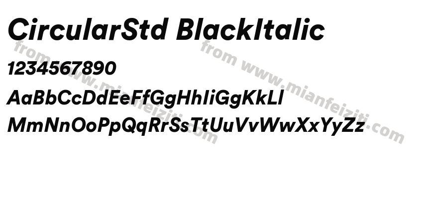 CircularStd BlackItalic字体预览