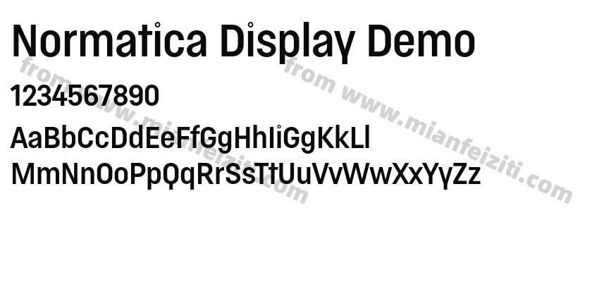 Normatica Display Demo字体预览