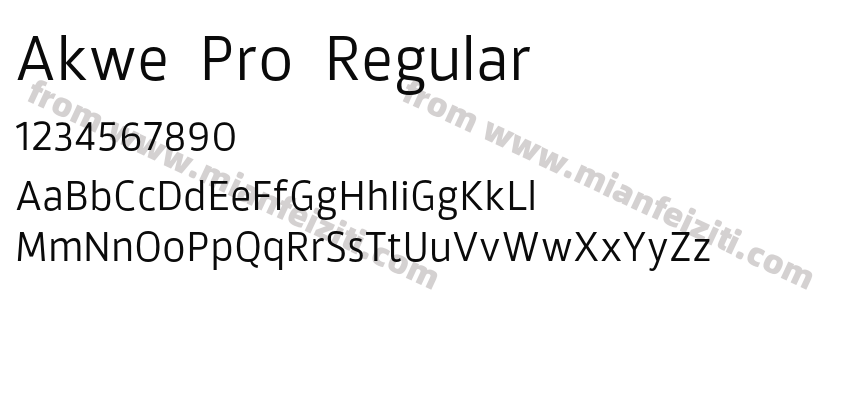 Akwe Pro Regular预览图2