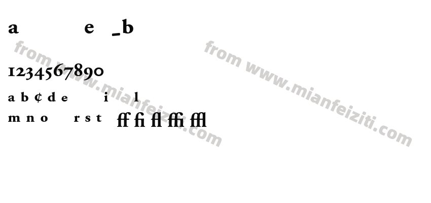 A Garamond Exp Bold预览图2