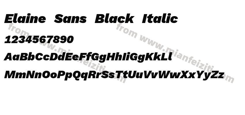 Elaine Sans Black Italic预览图2