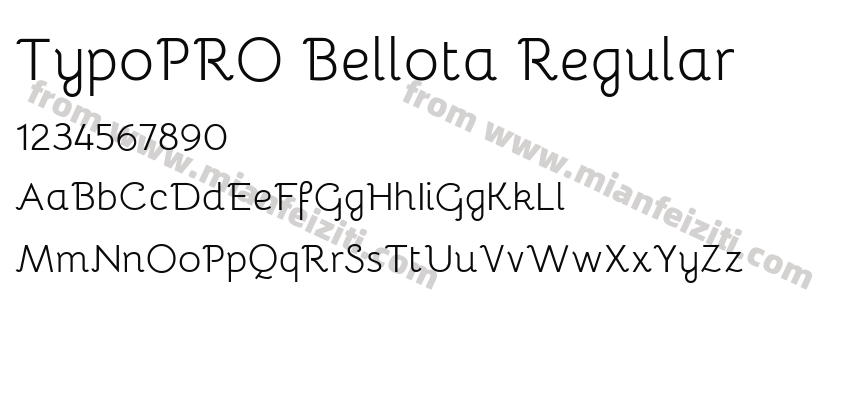 TypoPRO Bellota Regular预览图2