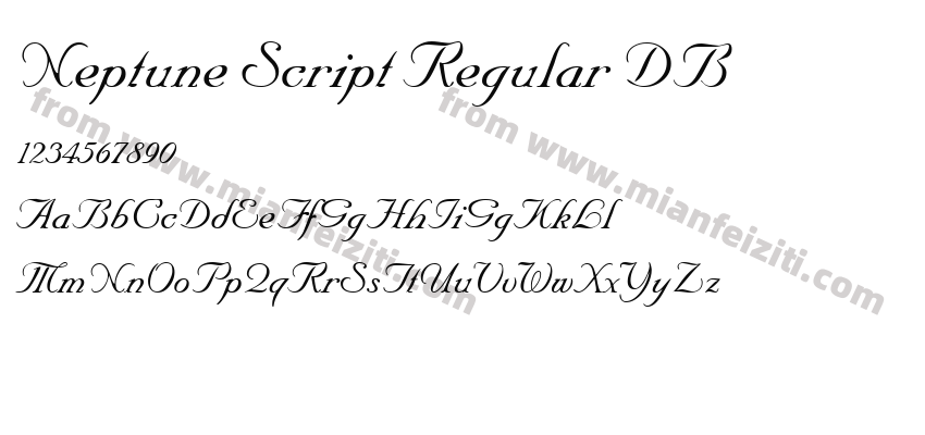 Neptune Script Regular DB预览图2
