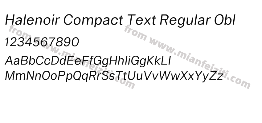 Halenoir Compact Text Regular Obl预览图2