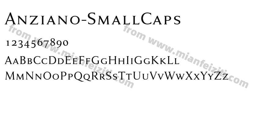 Anziano Small Caps预览图2