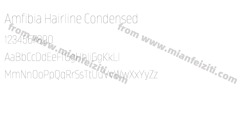 Amfibia Hairline Condensed预览图2