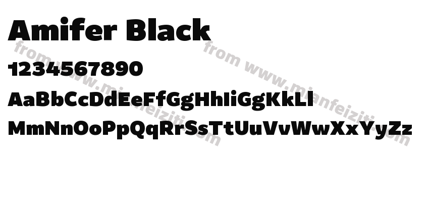 Amifer Black预览图2