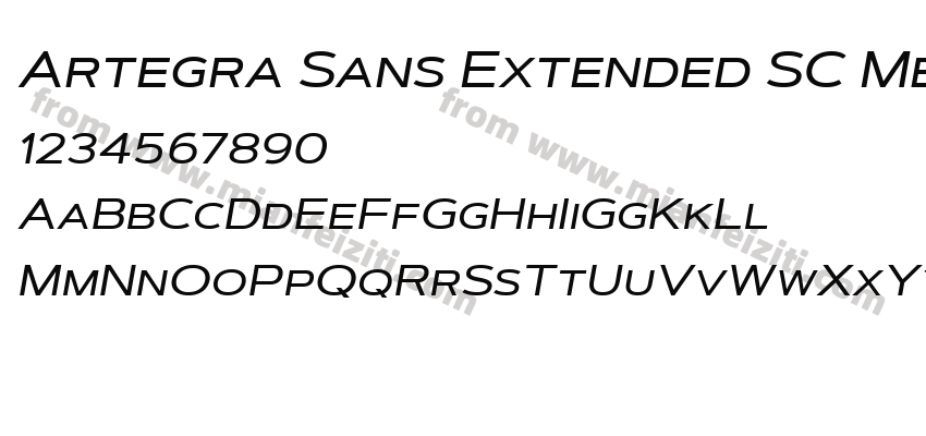 Artegra Sans Extended SC Medium Italic预览图2