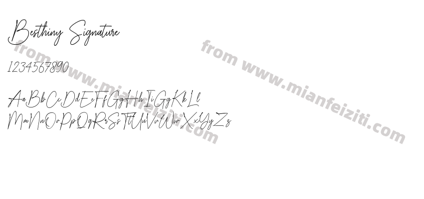 Besthiny Signature预览图2