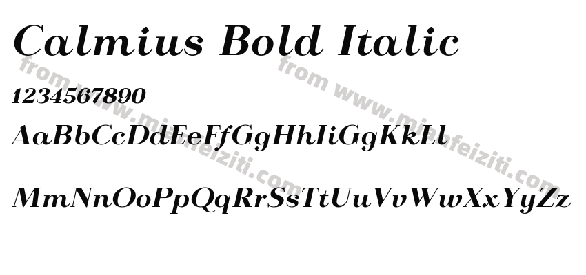Calmius Bold Italic预览图2