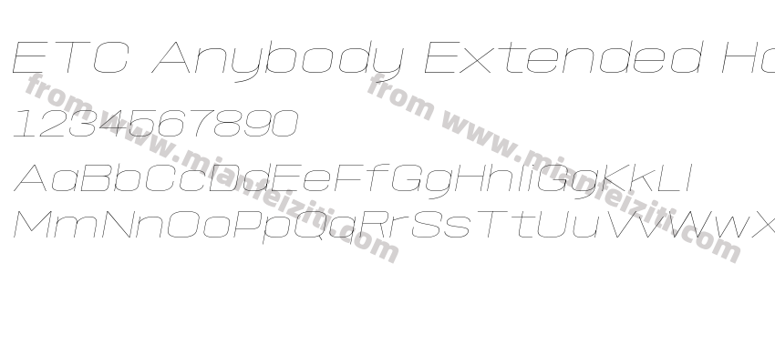 ETC Anybody Extended Hairline It预览图2