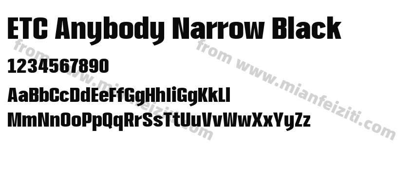 ETC Anybody Narrow Black预览图2