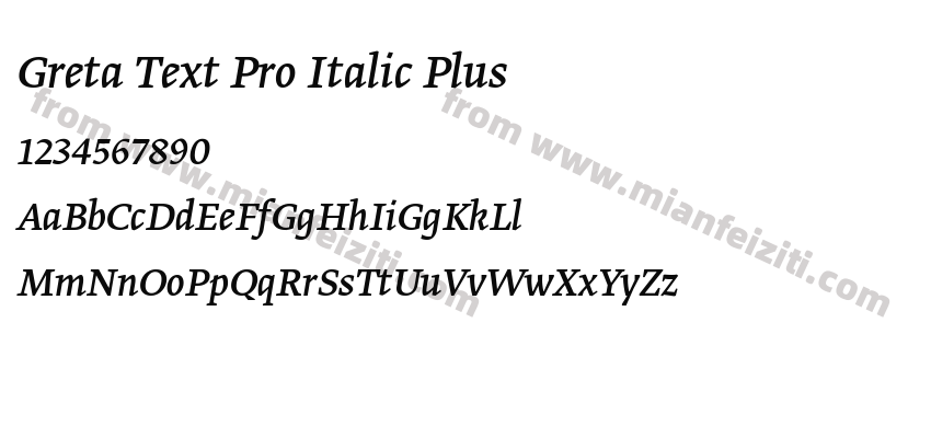 Greta Text Pro Italic Plus预览图2