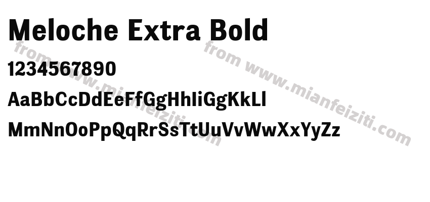 Meloche Extra Bold预览图2
