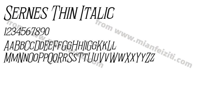 Sernes Thin Italic预览图2