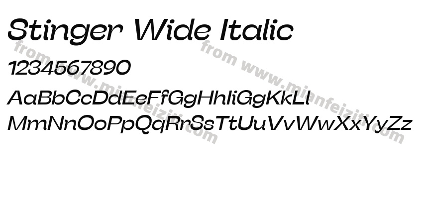 Stinger Wide Italic预览图2