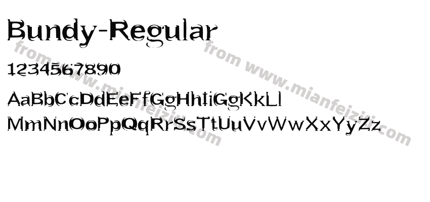 Bundy Regular预览图2