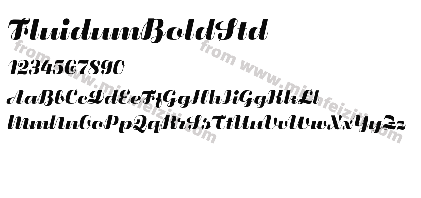 Fluidum Bold Std预览图2