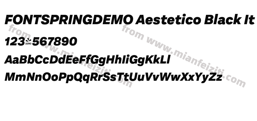 FSP DEMO Aestetico Black It Regular预览图2