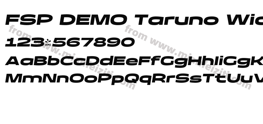 FSP DEMO Taruno Wide Black Italic预览图2