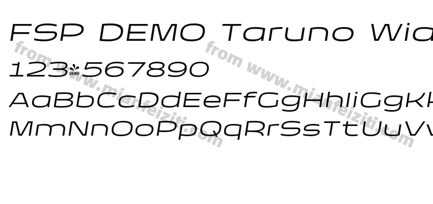 FSP DEMO Taruno Wide Light Italic预览图2